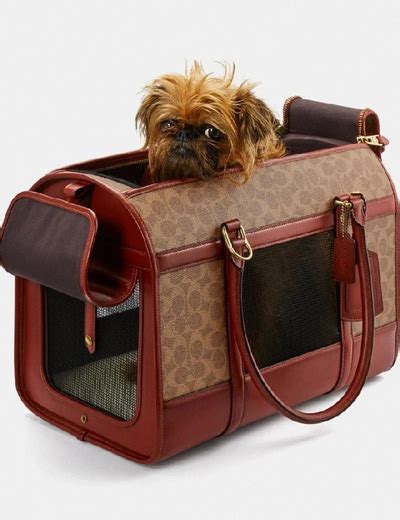 coach signature canvas dog carrier.